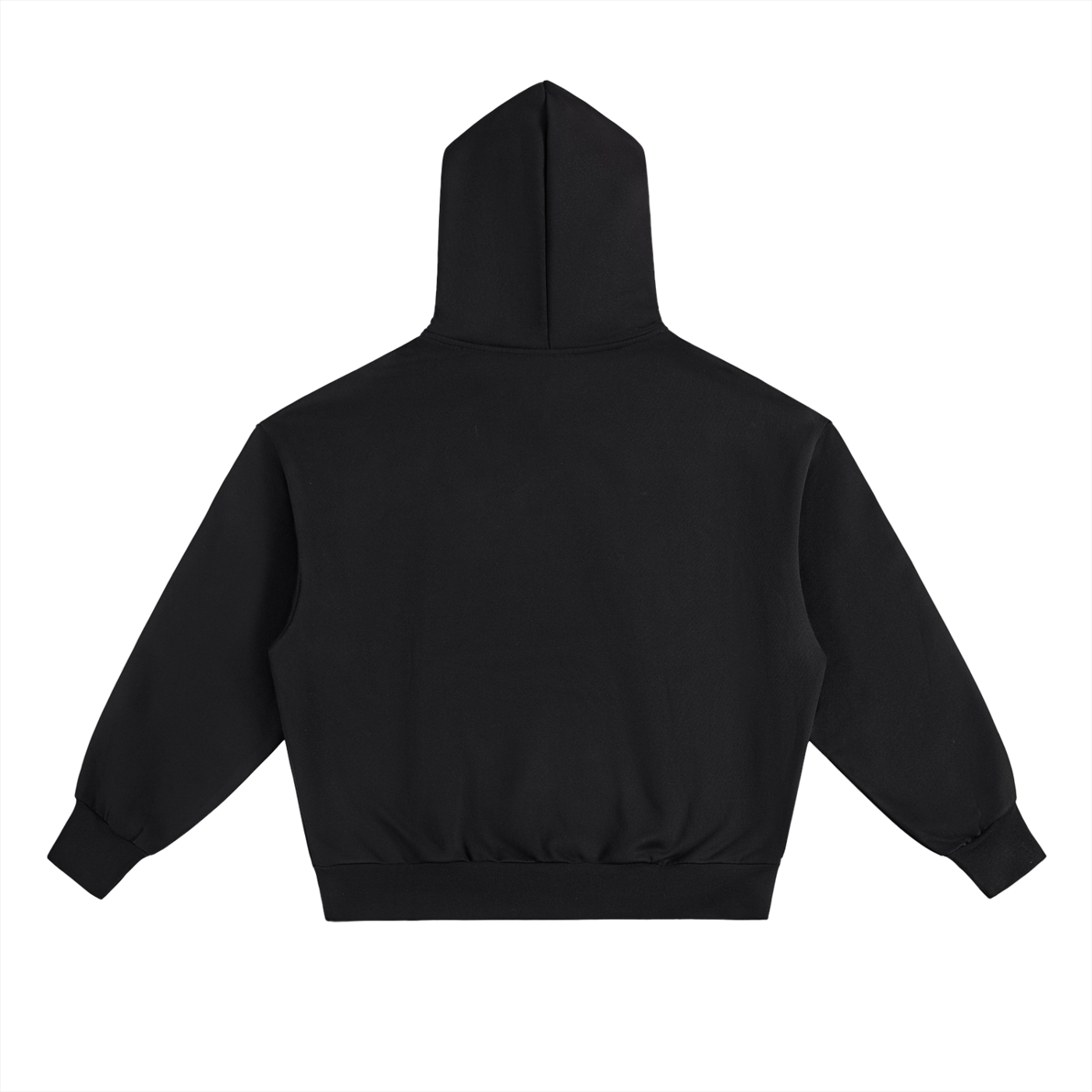 NS Heavyweight Hoodie